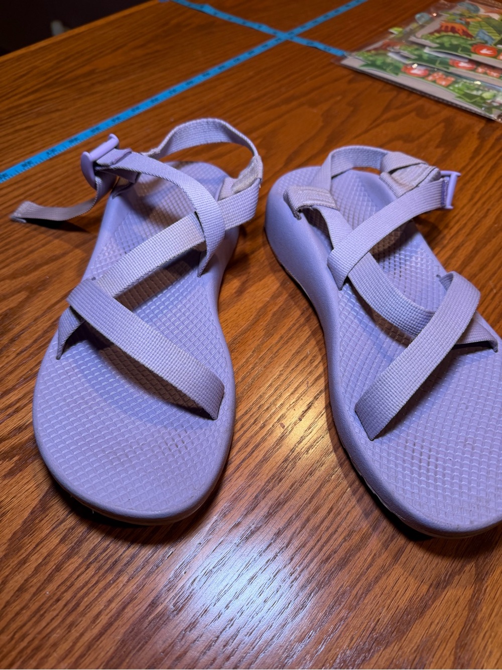 Chaco Lilac Strappy Sport Sandals